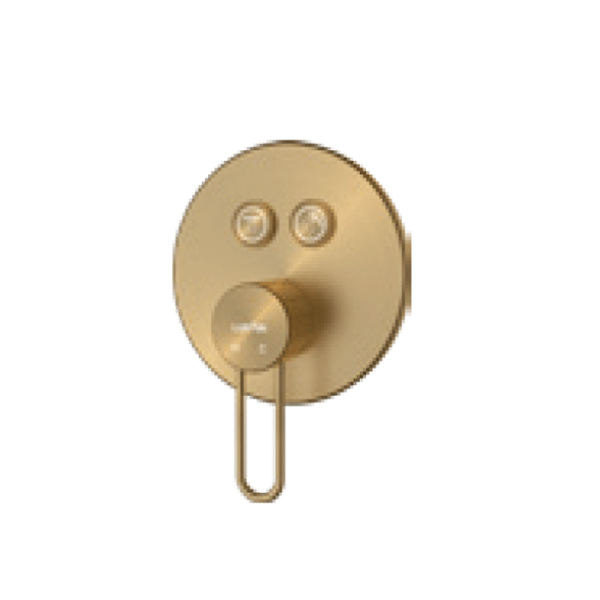 2-function concealed control valve (without box) Brushed gold
